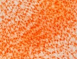 신수진_01_Orange_Blossom_01_mixed_media_on_canvas_147x103cm_2016.jpg