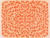 신수진_판화_03_Circulation_(orange)_56x68cm_etching_2013.jpg